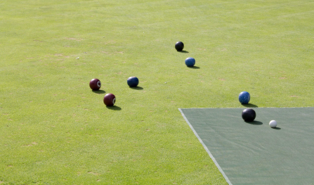 How Do You Know What Lawn Bowls to Buy?
